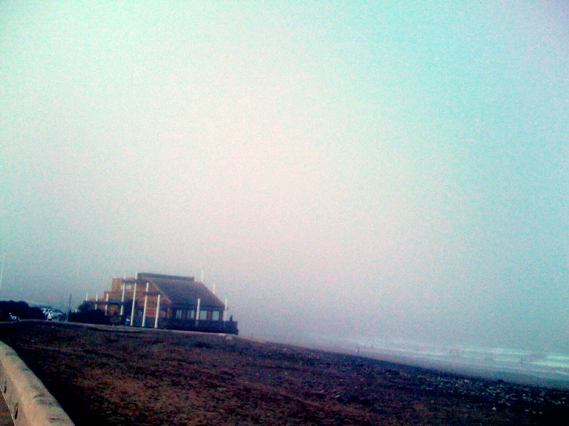 fog fog